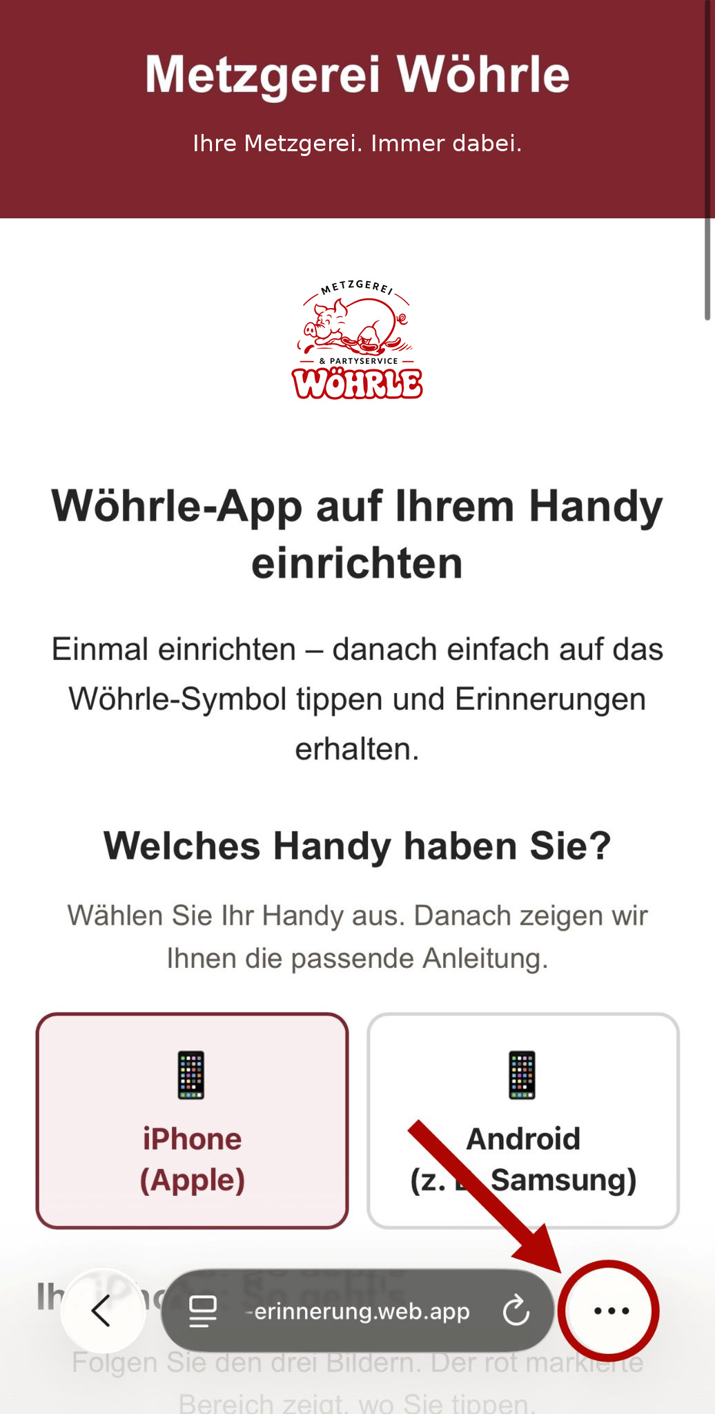 Originalaufnahme: Browserleiste mit Menü unten rechts
